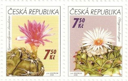 ** 484-7 Czech Republic FLOWER GROWING: CACTUSSES 2006 - Cactussen
