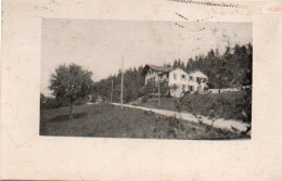 4V3Y   74  Luseige Lucinges Postée à Annemasse En 1942 - Annemasse