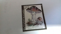 LR / TIMBRE BULGARIA 1990 CHAMPIGNON - Used Stamps