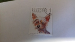 LR / TIMBRE BULGARIA 1991 CHIEN - Usados