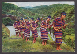 115810/ BENGUET, Festival Dance, Barangay Folk Dance Troupe - Philippines