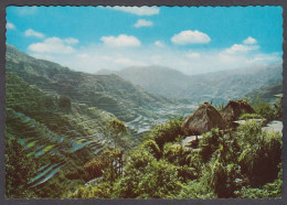 127781/ BANAUE, Rice Terraces - Filippijnen