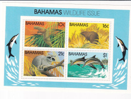 Bahamas Hb 37 - Bahama's (1973-...)