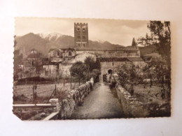 PRADES - Abbaye De St Michel De Cuxa - Potager Du Cloître - Au Fond, Le Canigou - Prades