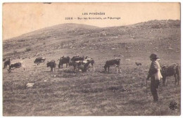 Pyrénées 003, Les Pyrénées, MTIL 2360, Sur Les Sommets, Un Paturage - Midi-Pyrénées