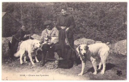 Pyrénées 002, Les Pyrénées, MTIL 2038, Chiens Des Pyrénées - Midi-Pyrénées