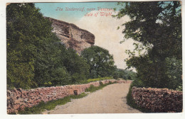 CR78.  Antique Postcard. The Undercliff, Near Ventnor. Isle Of Wight. - Ventnor