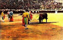 CR92. Vintage Spanish Postcard. Bullfighting. Matador And Bull With Spears. - Stiere