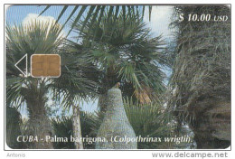 CUBA - Palma Barrigona, Tirage 30000, 06/01, Used - Kuba