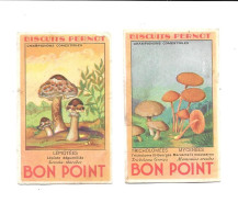 KB093 - BONS POINTS BISCUITS PERNOT - CHAMPIGNONS - PILZE - MUSHROOMS - FUNGHI - Pernot