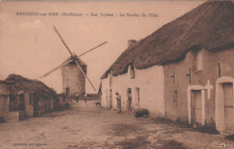 56 PENESTIN-sur-MER     Ker Joyeux -Le Moulin Du Clido      SUP  PLAN 1950       RARE - Pénestin