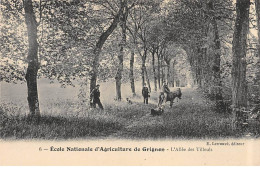Ecole Nationale D'Agriculture De GRIGNON - L'Allée Des Tilleuls - Très Bon état - Grignon