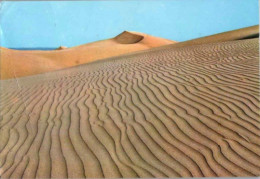 MASPALOMAS. Les Dunes.  -  1979 - Sonstige & Ohne Zuordnung