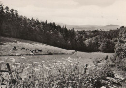 79350 - Herrnhut - Blick Auf Das Lausitzer Bergland - 1978 - Herrnhut