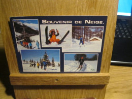 SOUVENIR DE NEIGE - Other