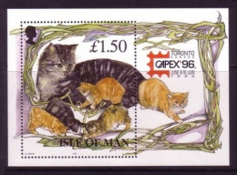 ISLE OF MAN BLOCK 25 I POSTFRISCH(MINT) MANXKATZE Mit Kleinen KATZEN AUFDRUCK CAPEX`96 - Isola Di Man