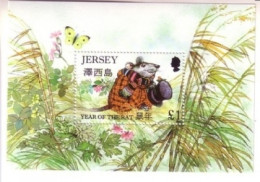 JERSEY BLOCK 12 POSTFRISCH(MINT) JAHR DER RATTE 1996 - Roditori