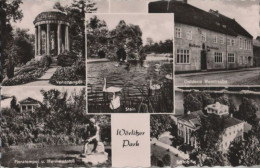 62603 - Wörlitz - Park, U.a. Schloss - 1962 - Woerlitz