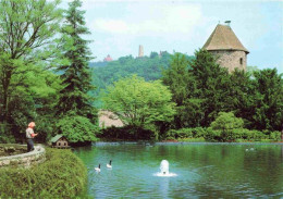 73968107 Weinheim_Bergstrasse_BW Wachenburg Und Windeck Der Blaue Hut Wasserspie - Weinheim