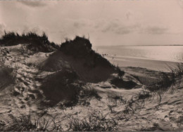 36426 - Langeoog - Dünen - 1967 - Langeoog