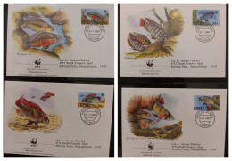 O) 1997 KENYA,  WWF - WOLRD SILDLIFE FUND, FISHES - VICTORIA, HAPLOCHROMIS, ROCK HUNTER, CHILOTES, CINCTUS, NIGRICANS, F - Kenya (1963-...)