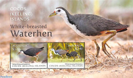 Cocos Islands 2023 White-breasted Waterhen S/s, Mint NH, Nature - Birds - Isole Cocos (Keeling)