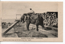 Carte Postale Ancienne Birmanie - Rangoon. Elephants Working Timber - Myanmar (Birma)