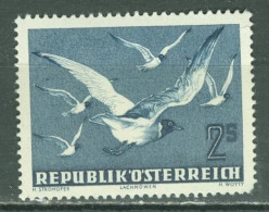 Oiseau  Autriche    PA  56   *  *    Second Choix    Cote 20 Euro   - Gabbiani