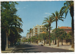 Hyeres-les-Palmiers: PANHARD PL17, RENAULT DAUPHINE, CITROËN 2CV, 2CV AZU - Avenue Gambetta - (France) - PKW