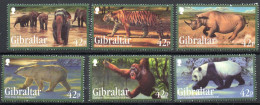 Gibraltar 2011 MNH Espèces Menacées- Endangered Animals - Gibraltar