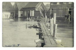 Moerzeke Hamme FOTOKAART Van De Overstromingen 1929 - Hamme