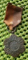 Medaile :  W.S.V. Oranje Nassau ( Almelo ) + 1945 -  Original Foto  !!  Medallion  Dutch - Altri & Non Classificati