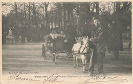 Paris Vécu * 1903 * Aux Champs élysées * La Voiture Des Tout Petits * Attelage Chèvre * éditeur L. J. & Cie - Straßenhandel Und Kleingewerbe