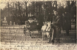 Paris Vécu * 1904 * Aux Champs élysées * La Voiture Des Tout Petits * Attelage Chèvre * éditeur L. J. & Cie - Ambachten In Parijs