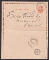 Argentinien Buzon Central Buenos Aires Ganzsache 3c Kartenbrief Provinz Capital - Storia Postale