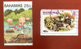 Bahamas › 1980 - 1982 - Bahamas (1973-...)