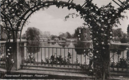 73195 - Uetersen - Rosarium - 1963 - Uetersen