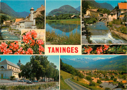 74 - TANNINGES MULTIVUES - Taninges