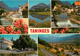 74 - TANNINGES MULTIVUES - Taninges