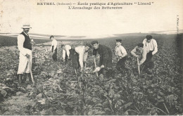 Rethel * L'arrachage Des Betteraves , école Pratique D'agriculture " Linard " * Villageois - Rethel