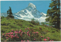 CPM  Stafelapt Bei Zermatt - Sion