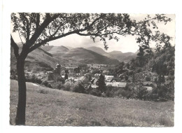 SAINT- AMARIN - Vue Générale 68.292.01 La Cigogne - 1960 - Saint Amarin