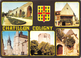 45-CHATILLON COLIGNY-N°3895-B/0083 - Chatillon Coligny
