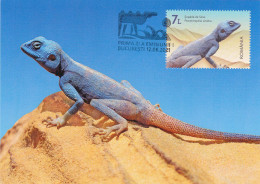 Reptiles / Crawler / Lizard /  MAXI CRD,CARTES MAXIMUM CM,2021 ROMANIA. - Cartoline Maximum