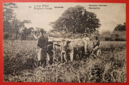 Entier Postal Du Congo Belge Thème Faucheuse Mécanique, Agriculture, Boeufs - Agriculture