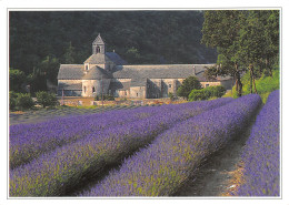 84-GORDES-N°C4035-C/0211 - Gordes