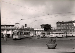 ! DDR S/w Foto Ansichtskarte Rostock, Straßenbahn, Tram, Bus, Photo - Rostock