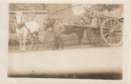 Laitier Avec Charette A Lait - Artisanat