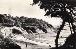 Vaux Sur Mer Le Conche Du Conseil - Vaux-sur-Mer