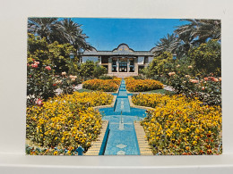 Shiraz - Sour-Orange Garden Iran Postcard - Iran